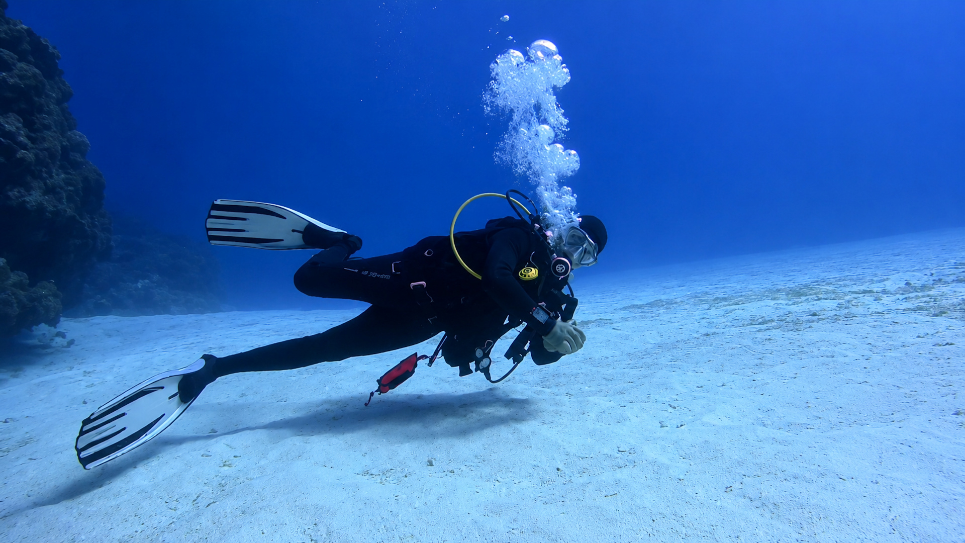 Diving with Purpose