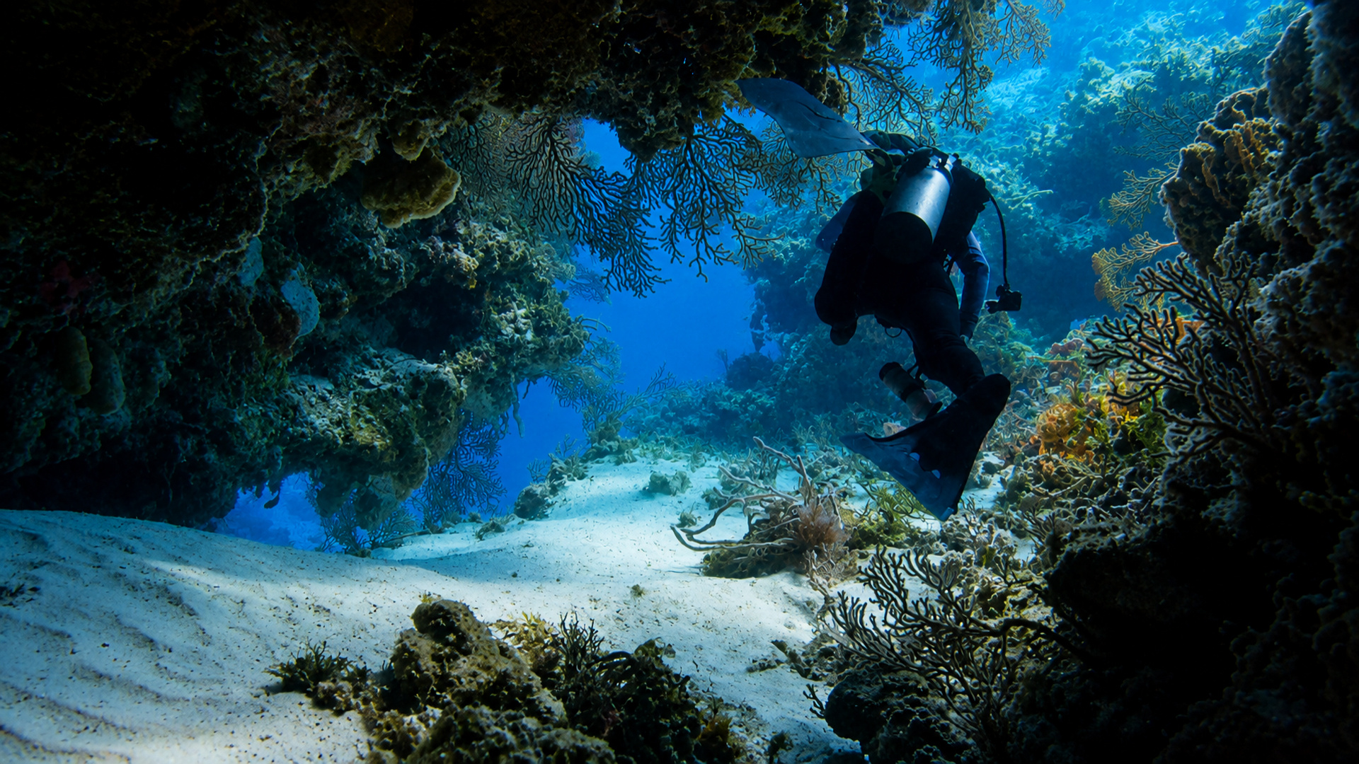 Punta Sur and Devil's Throat reef in Cozumel